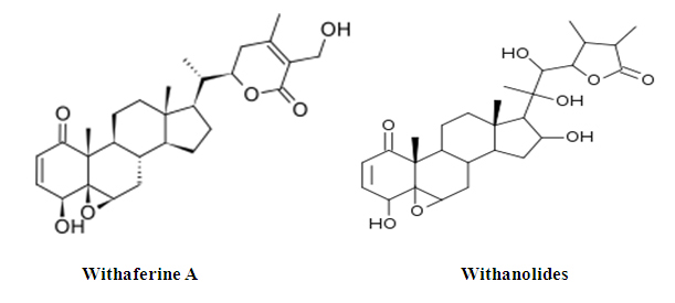 Ashwagandha Extract Manufacturer