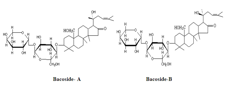 Bacopa Extract Manufacturer