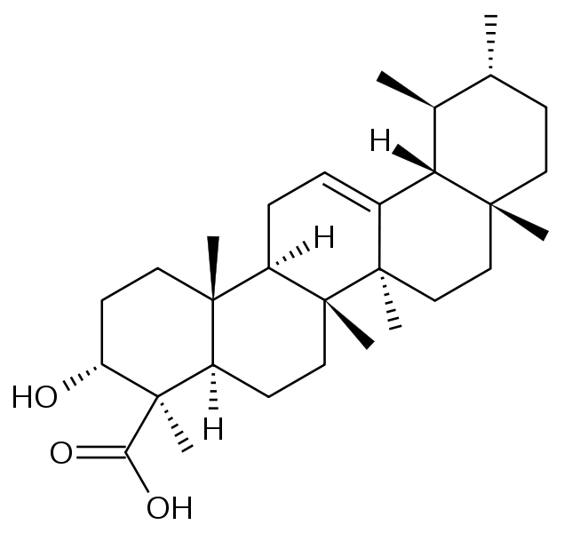 Boswellia Serrata Extract