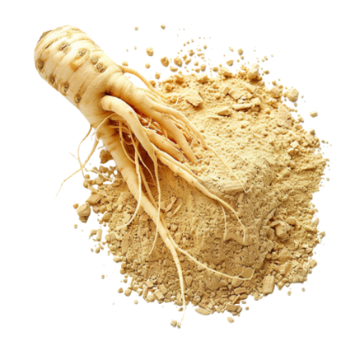 Ginseng Extract Product Display