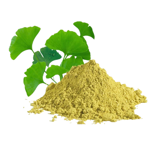 Ginkgo Biloba Extract Product Display