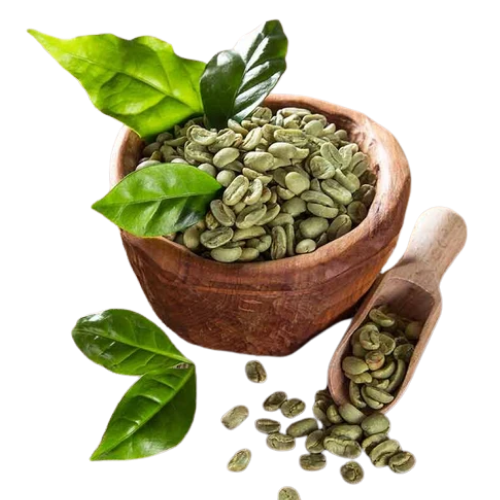 Green Coffee Extract Product Display