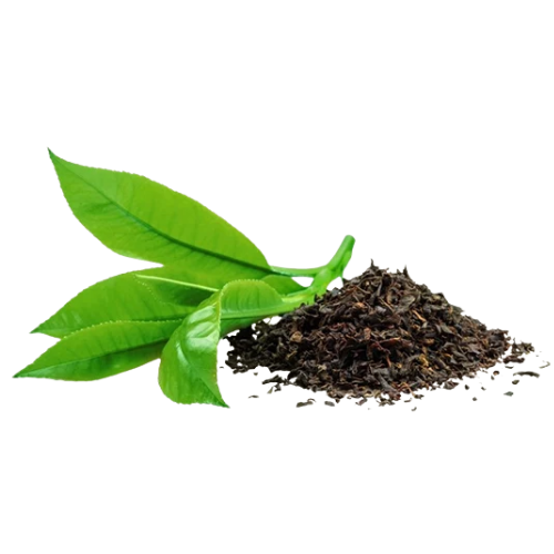 Green Tea Extract Product Display