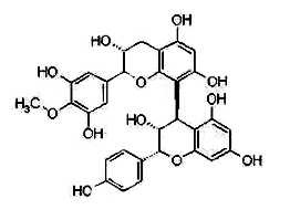 Grape Seed Extract Manufacturer