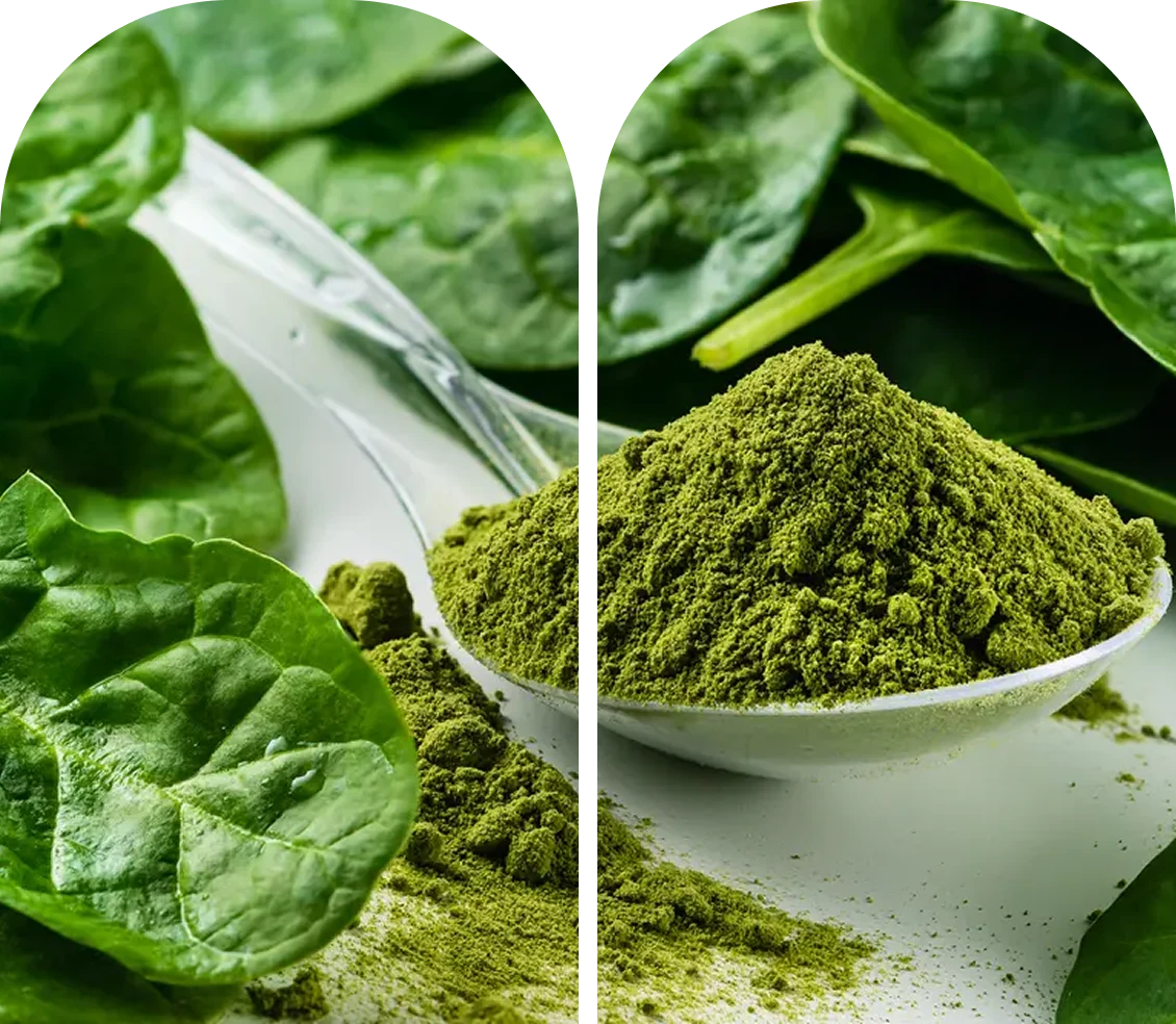 Phyto R&D Advancements