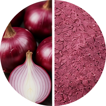 Onion cutout