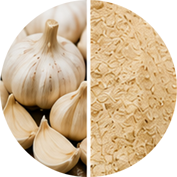 Garlic cutout