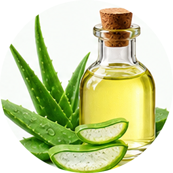 Aloe Vera Oil cutout