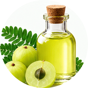 Amla Oil cutout