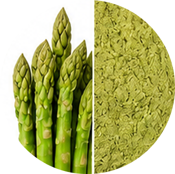 Rosemary Extract cutout