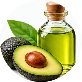 Avocado Oil cutout
