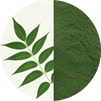 Neem Extract cutout