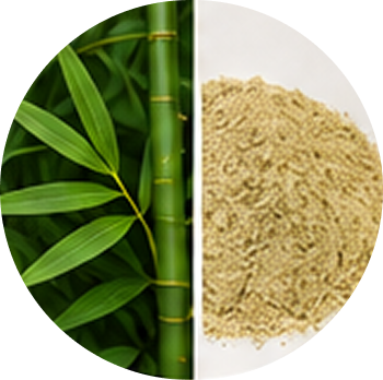 Bamboo Tabasheer cutout