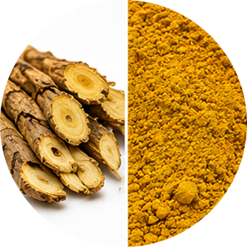 Berberine cutout