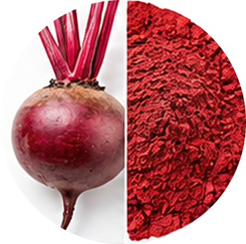 Beet Root cutout
