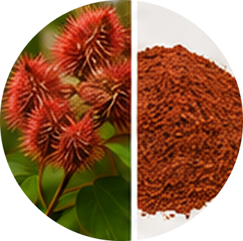 Annatto cutout