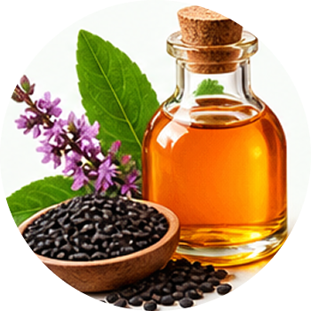 Babchi Oil cutout