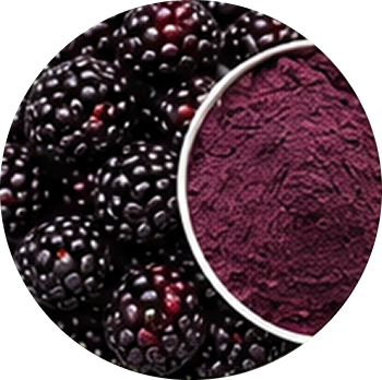 Blackberry cutout