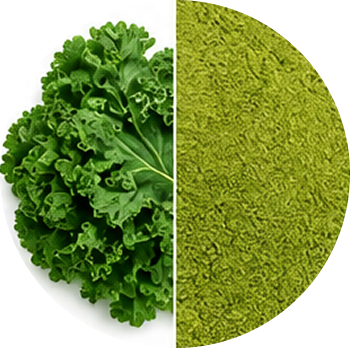 Kale cutout