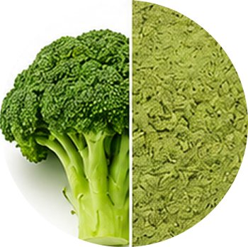 Broccoli cutout