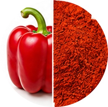 Capsicum cutout