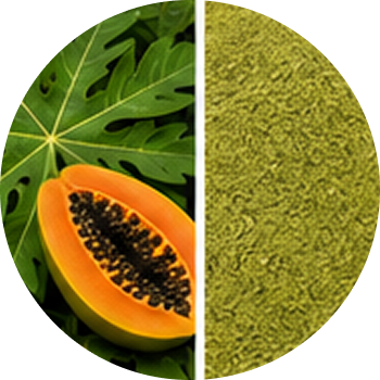 Papaya cutout