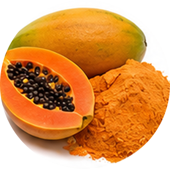 Papaya Fruit cutout