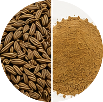Caraway cutout