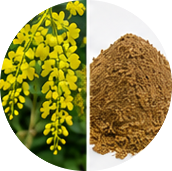 Amaltas cutout
