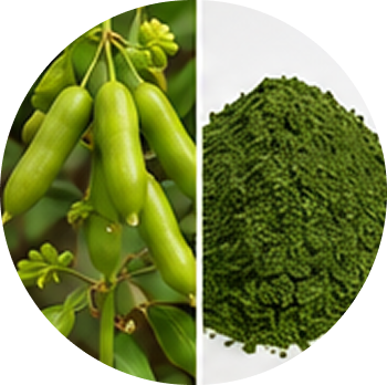 Passion Fruit cutout