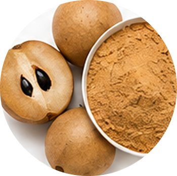 Chikoo cutout