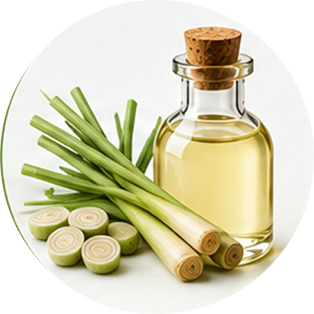 Citronella Oil cutout