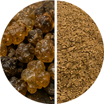 Guggul (Gum) cutout