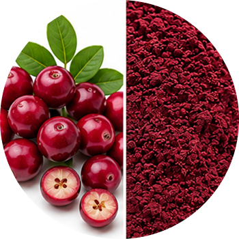 Cranberry cutout