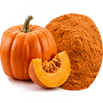 Pumpkin cutout