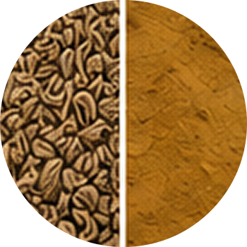 Cumin cutout