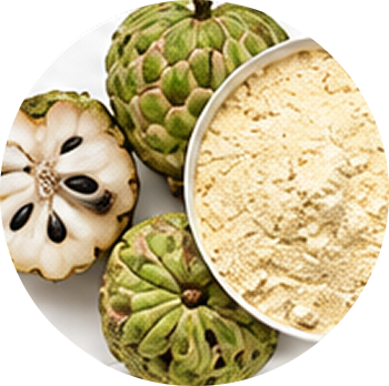 Custard Apple cutout