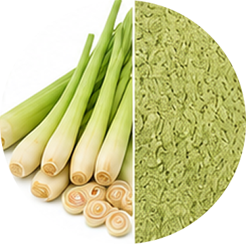 Lemon Grass cutout