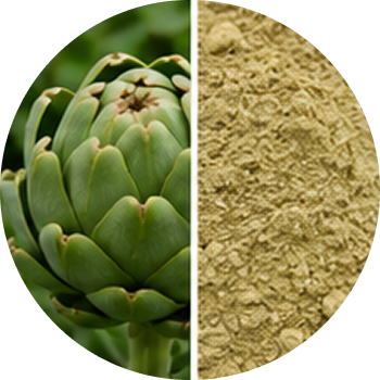 Artichoke cutout
