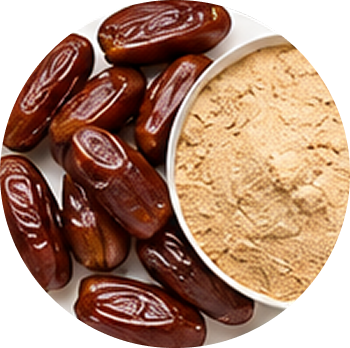Date Palm cutout