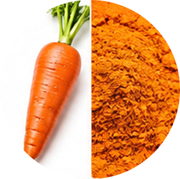 Carrot cutout