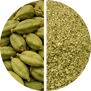 Elaichi cutout