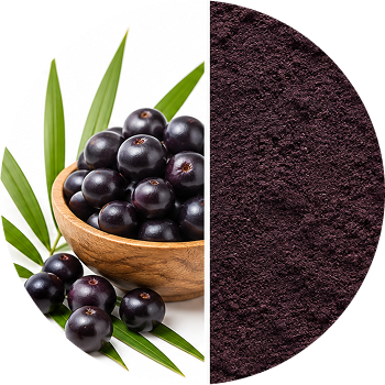 Acai Berry cutout