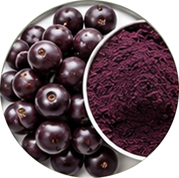 Acai Berry cutout
