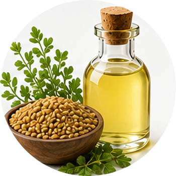 Fenugreek Oil cutout