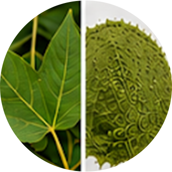 Udamber cutout