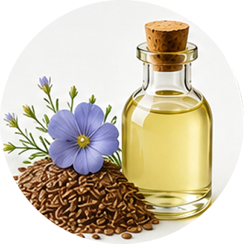 Flax Seed Oil cutout