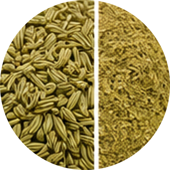 Fennel cutout