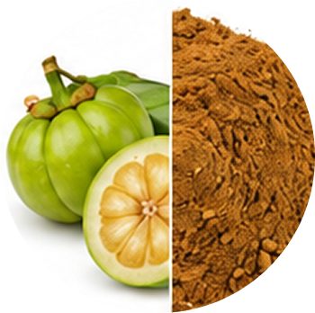 Garcinia cutout