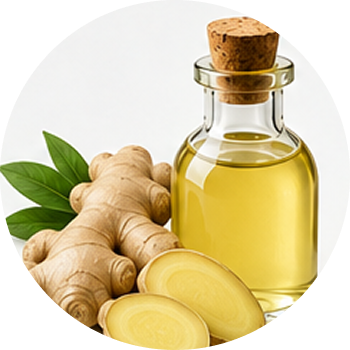 Ginger Oil cutout
